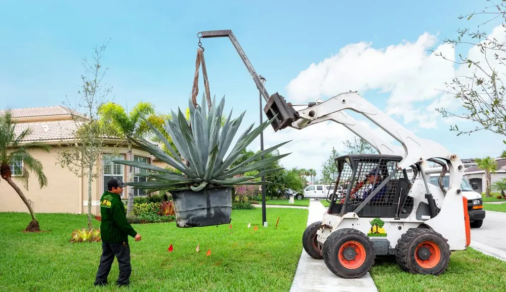 Professional yard cleanup service experts serving Westlake Village, CA - Landart Builders