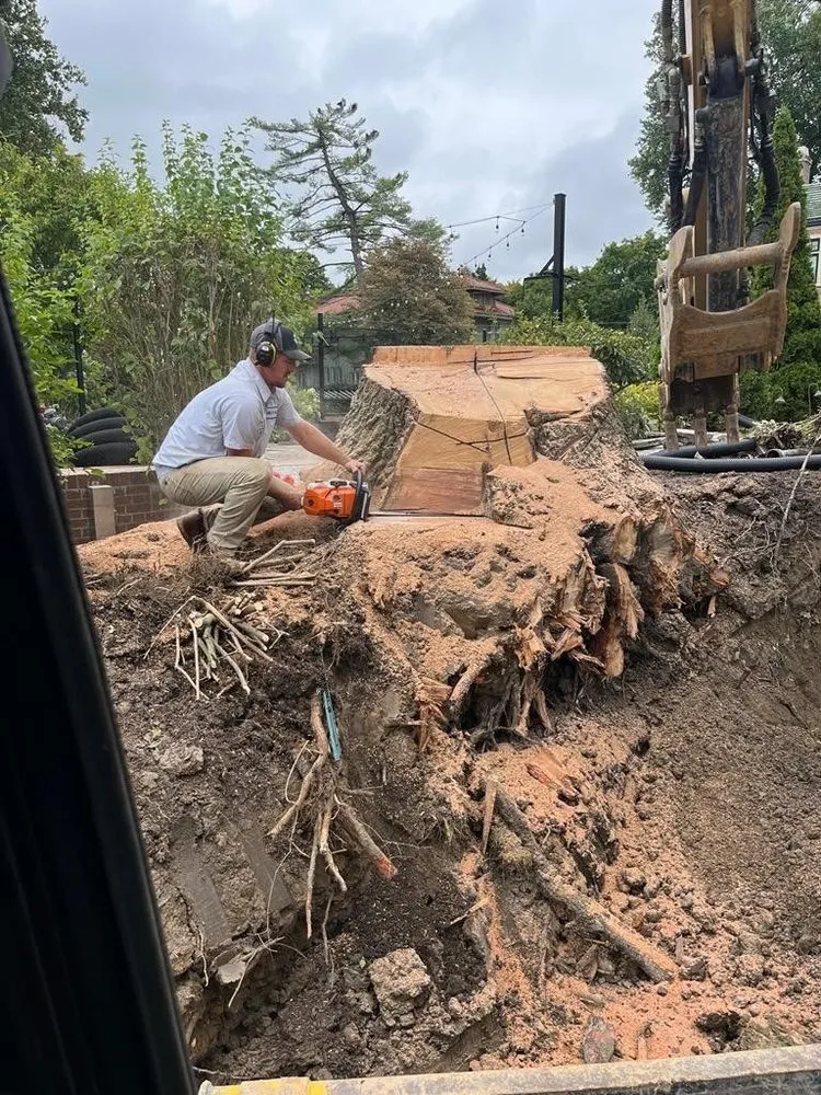 Expert yard maintenance experts serving New Haven, IN - Landart