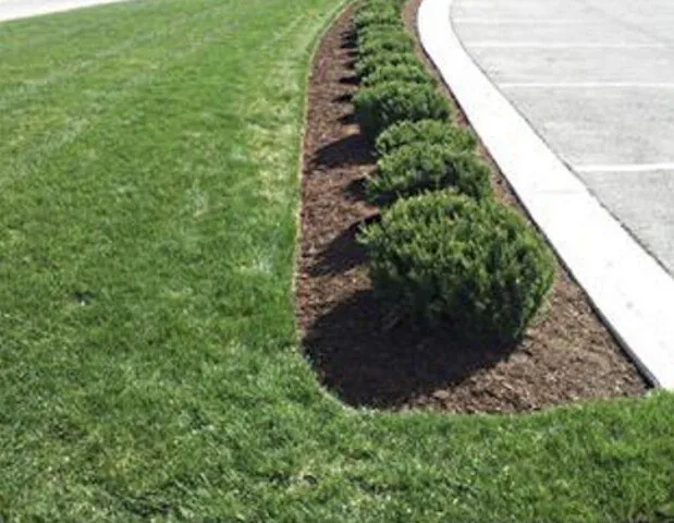 Custom lawn care service for beautiful yards across New Haven, IN - Landart