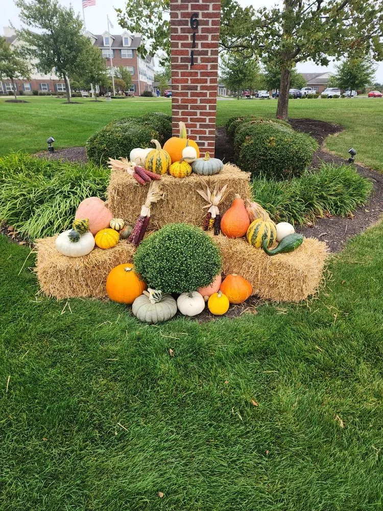 Affordable yard maintenance in New Haven, IN - Landart