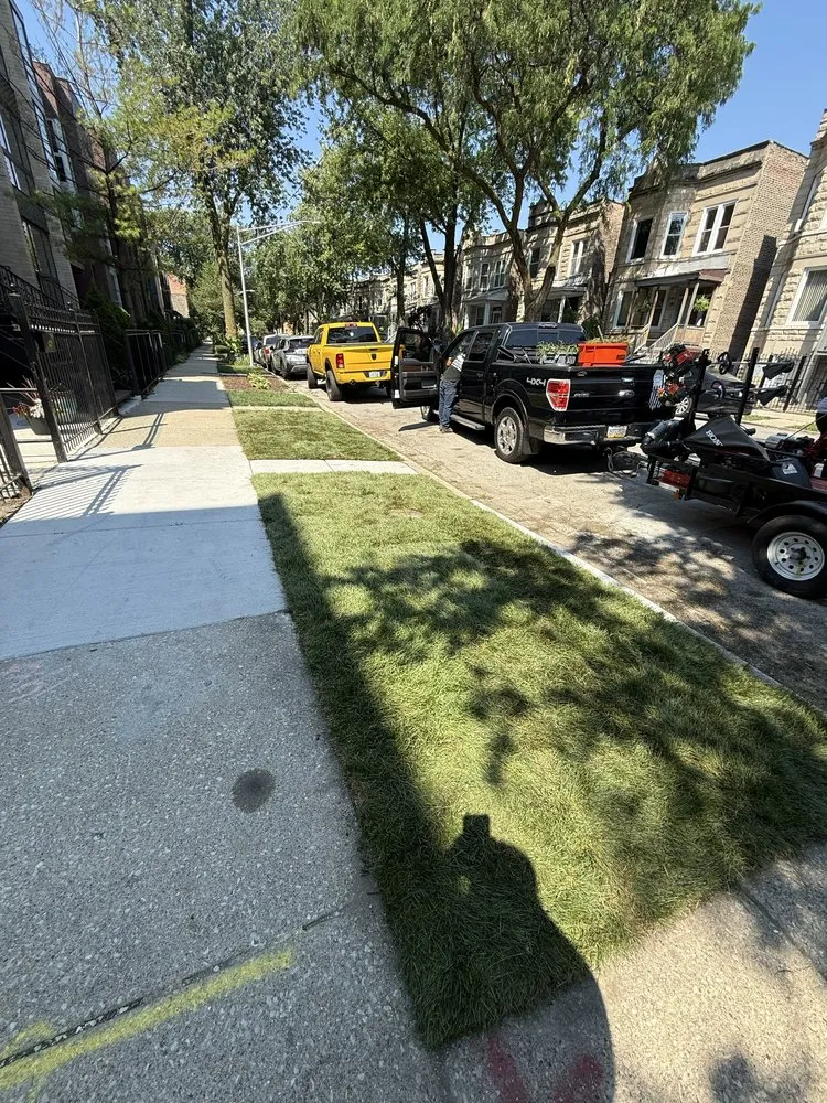 Affordable yard maintenance in Chicago, IL - Landa’s Landscaping