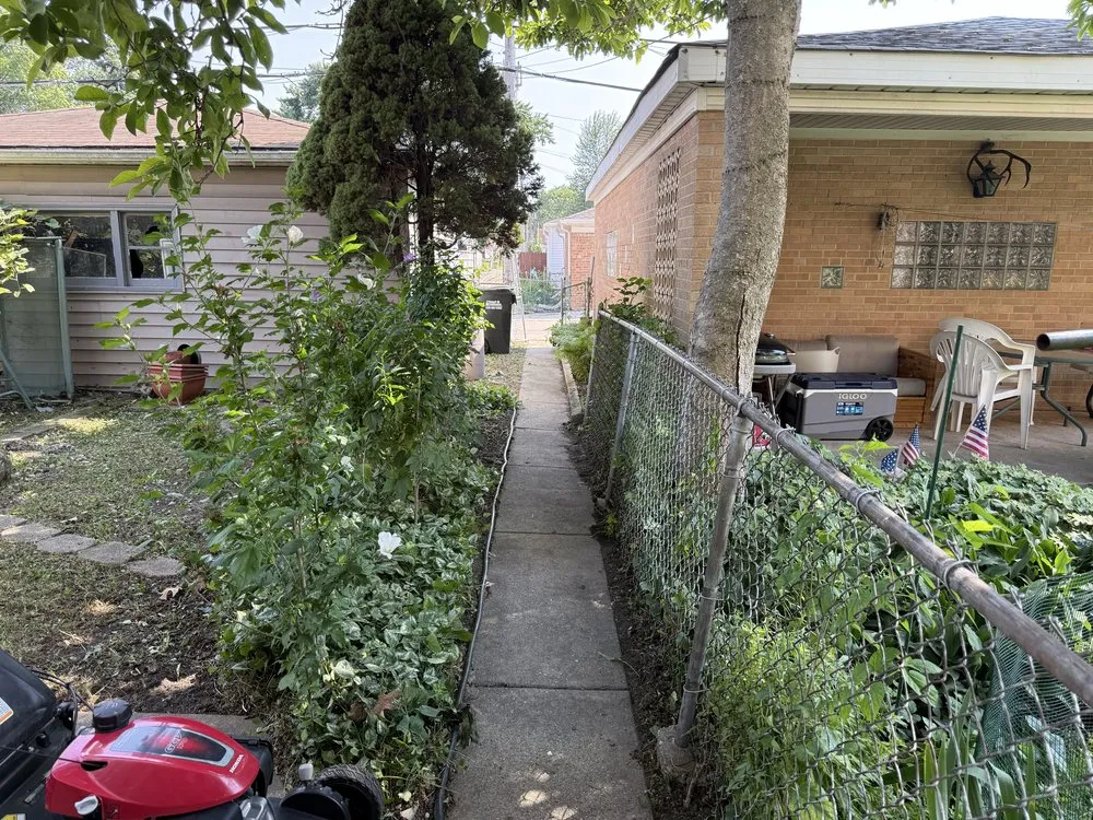 Local yard cleanup service in Chicago, IL - Landa’s Landscaping