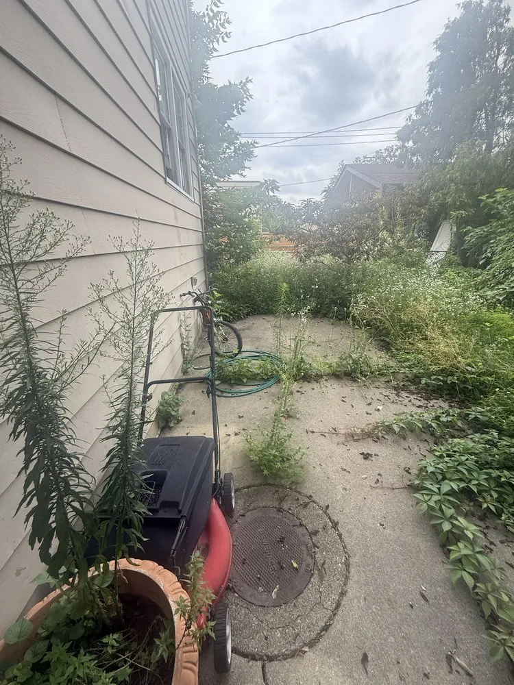 Trusted yard maintenance in Chicago, IL - Landa’s Landscaping