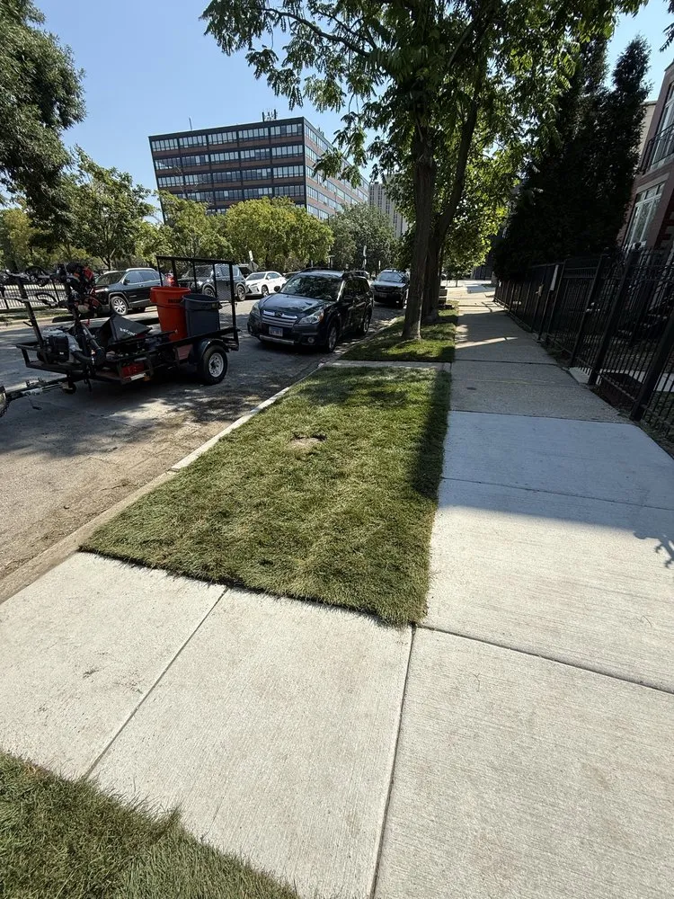 Affordable yard cleanup service in Chicago, IL by Landa’s Landscaping
