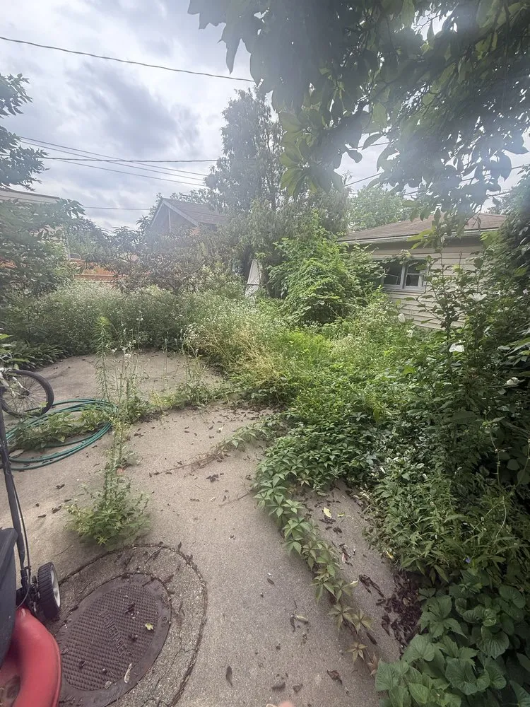 Professional landscape design experts serving Chicago, IL - Landa’s Landscaping