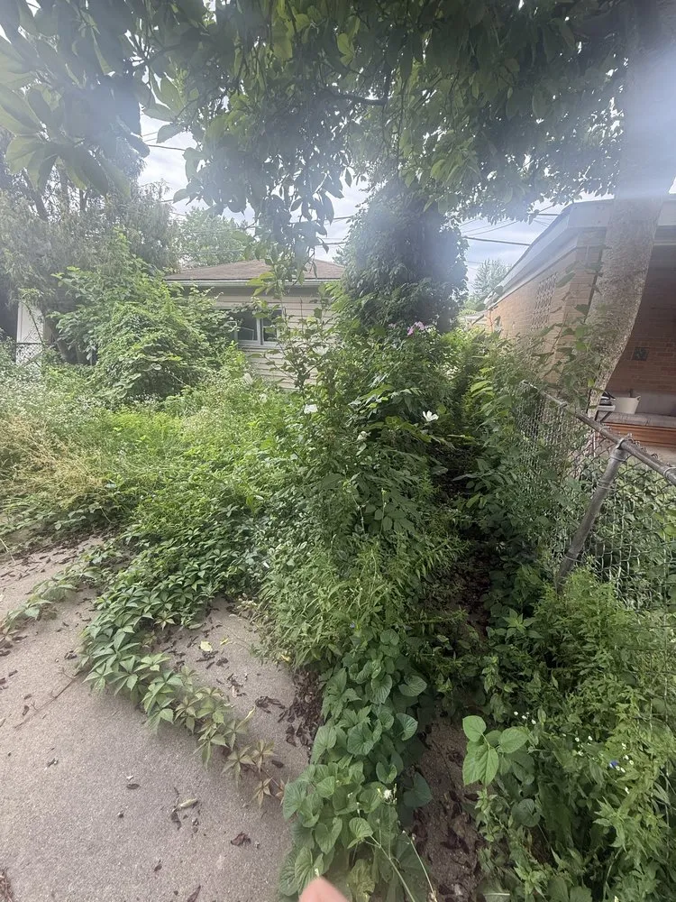 Expert garden landscaping for homes in Chicago, IL by Landa’s Landscaping