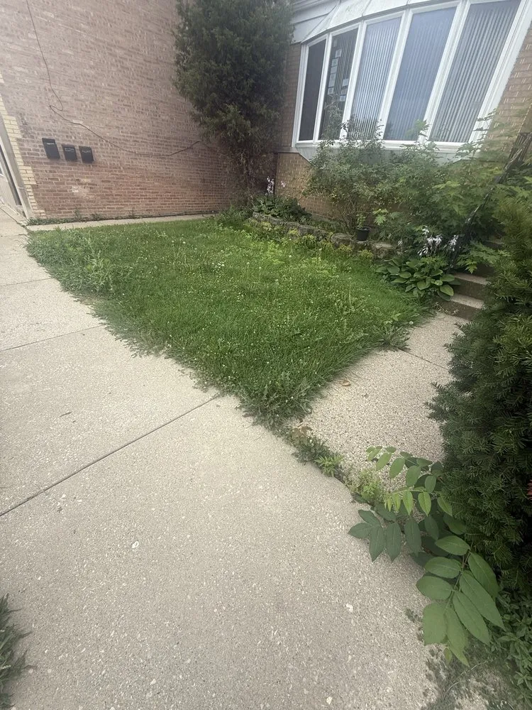 Local garden landscaping for beautiful yards in Chicago, IL by Landa’s Landscaping