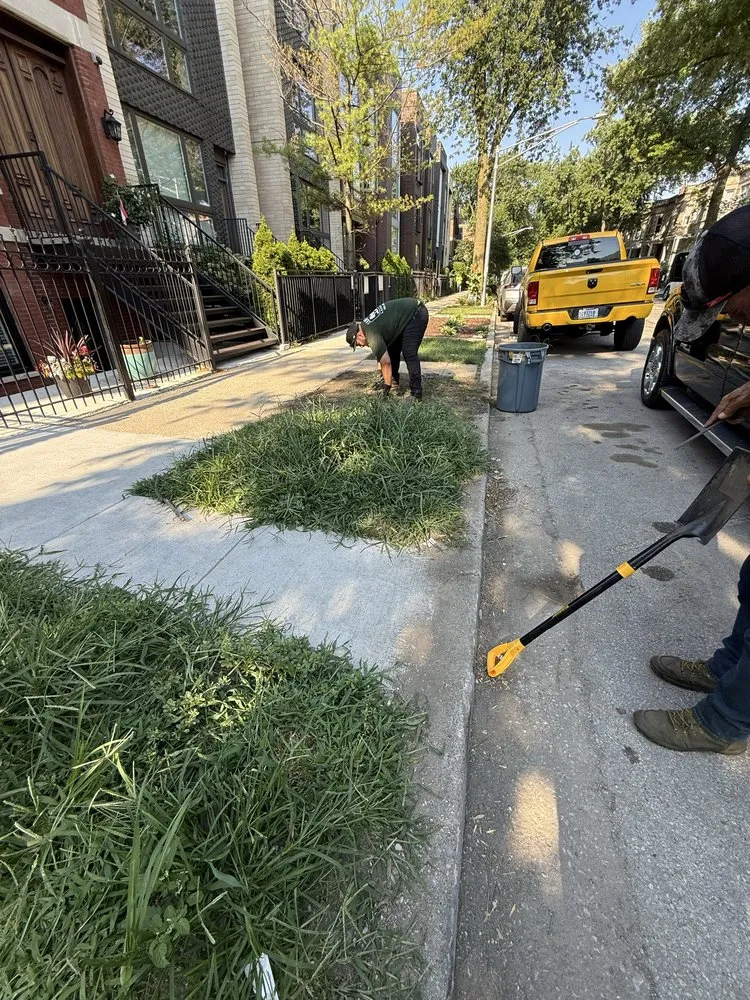 Expert landscape design with custom design across Chicago, IL - Landa’s Landscaping