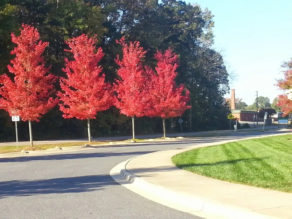 Local outdoor landscaping in Siler City, NC - Landas Landscaping