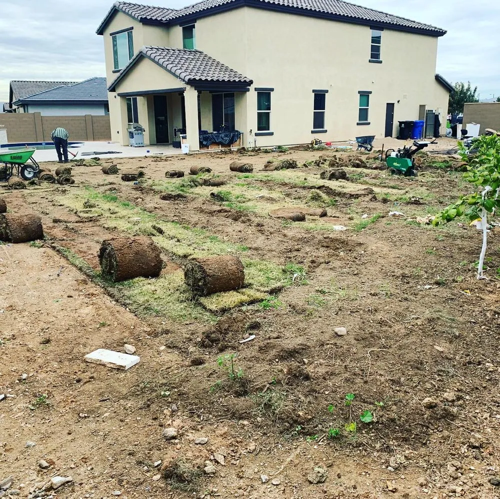 Trusted yard maintenance experts serving El Mirage, AZ - Landaverde Landscape