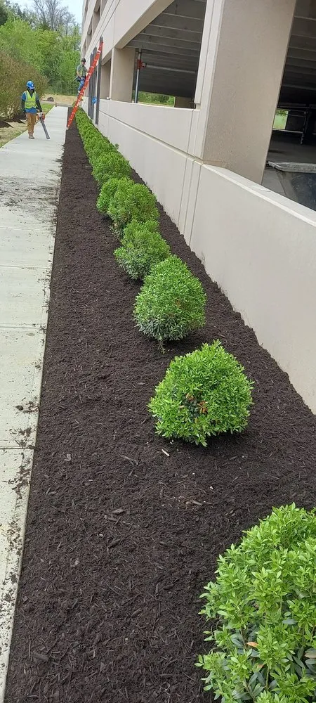 Reliable yard maintenance in Sand City, CA by Landaverde Landscaping