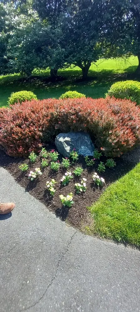 Custom yard cleanup service for year-round maintenance in Sand City, CA by Landaverde Landscaping