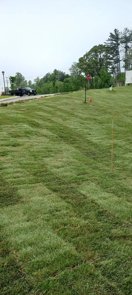 Professional landscape installation in Sand City, CA - Landaverde Landscaping