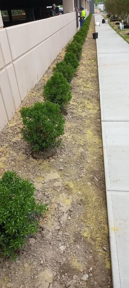 Affordable garden landscaping experts serving Sand City, CA - Landaverde Landscaping