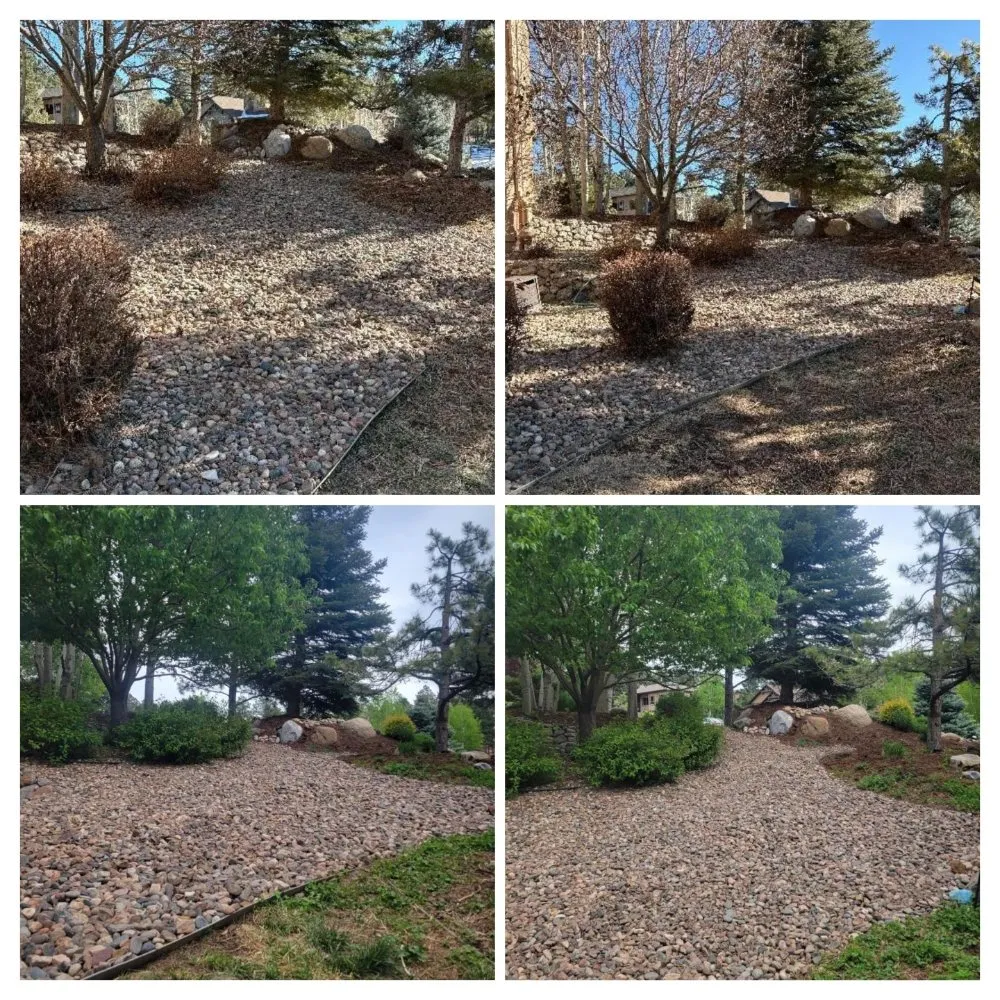 Local lawn care service for residential properties in Colorado Springs, CO by LandBros Landscaping