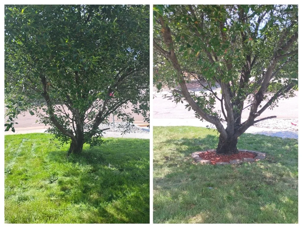 Local lawn care service experts serving Colorado Springs, CO - LandBros Landscaping