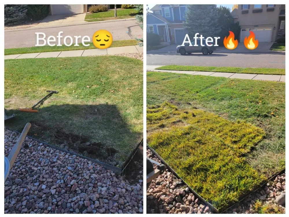 Custom garden landscaping with custom design across Colorado Springs, CO - LandBros Landscaping