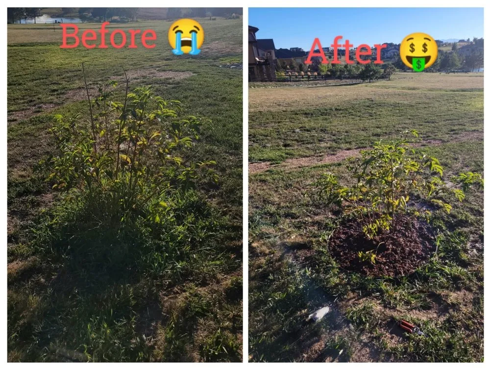 Trusted yard maintenance experts serving Colorado Springs, CO - LandBros Landscaping