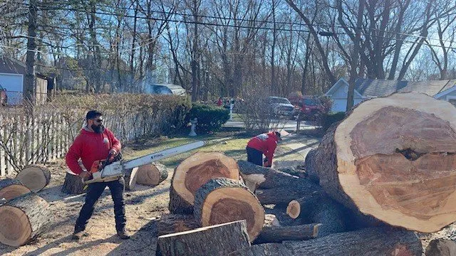 Expert yard cleanup service in McHenry, IL - Landcare And Lawn Maintenance