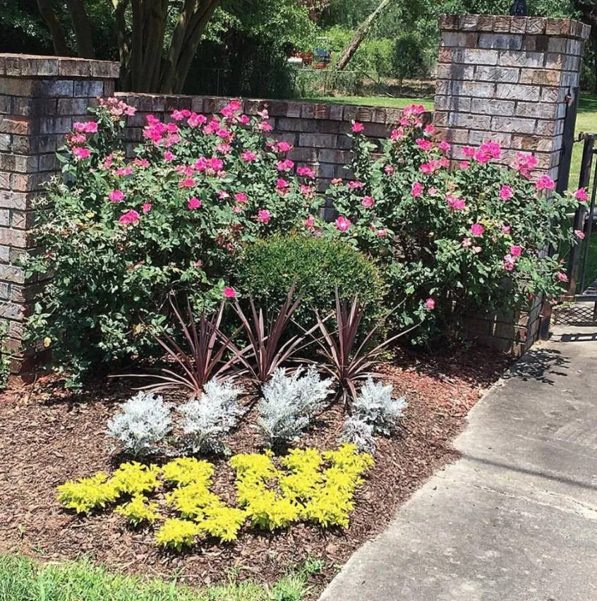 Trusted yard maintenance near you across Chipley, FL - Landcare Concepts