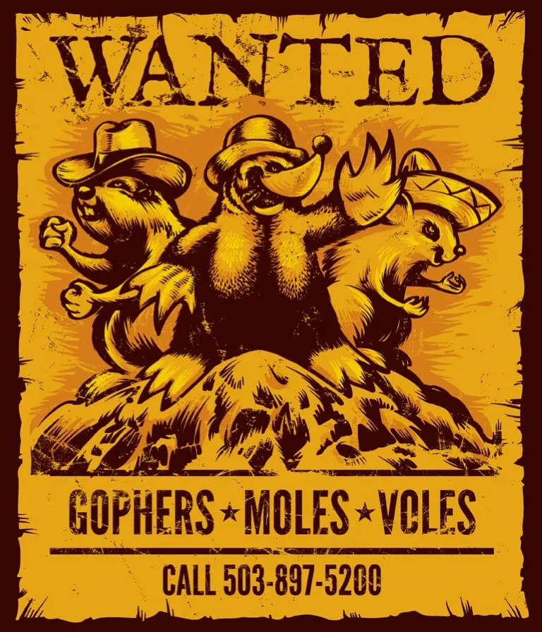 Custom yard maintenance for year-round maintenance across Salem, OR - Landcare Mole and Gopher