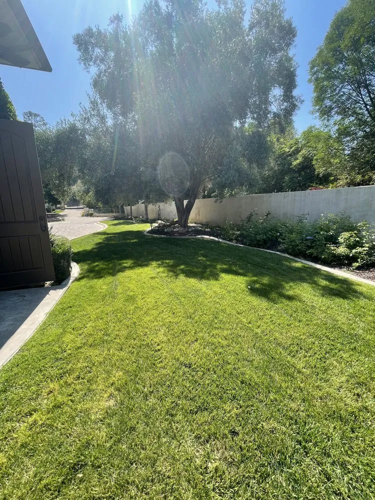 Local outdoor landscaping in Riverside, CA - LandChemist