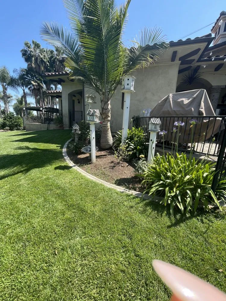 Top-rated yard cleanup service for outdoor upgrades in Riverside, CA by LandChemist