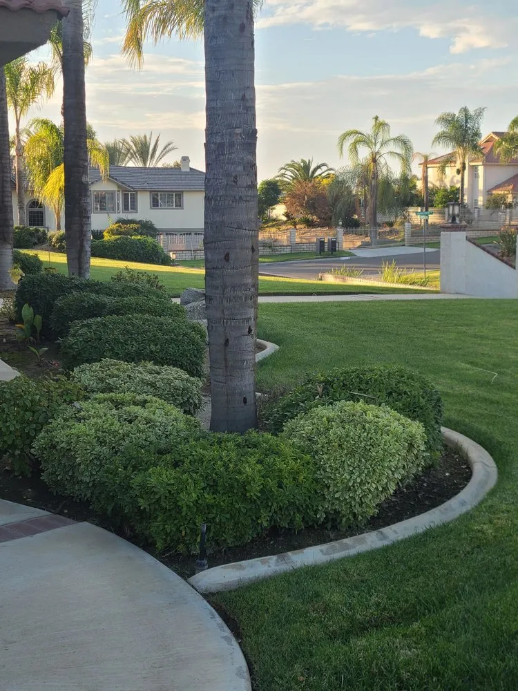 Local outdoor landscaping experts serving Riverside, CA - LandChemist
