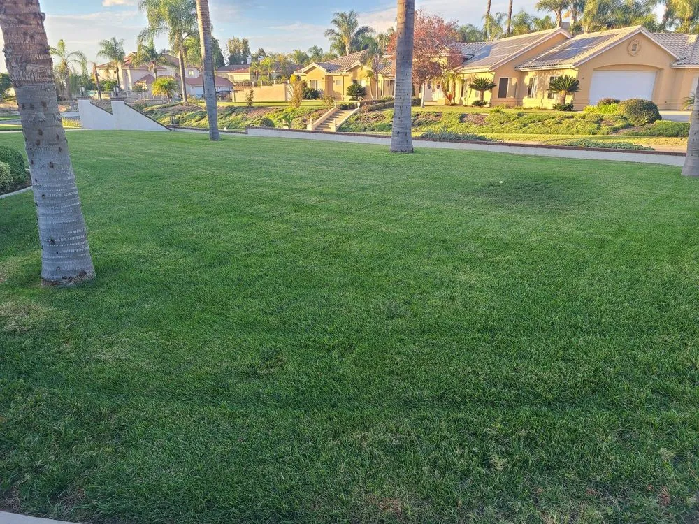 Affordable garden landscaping for homes across Riverside, CA - LandChemist