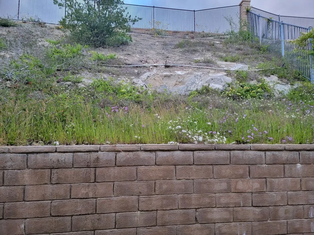 Reliable residential landscaping in Riverside, CA - LandChemist