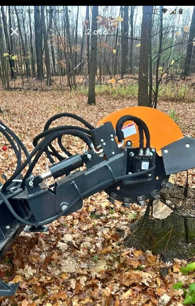 Reliable yard cleanup service in Long Lake, WI - Landco