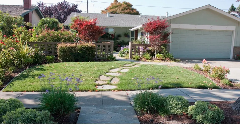 Professional yard maintenance experts serving San Jose, CA - Landcon Landscape Construction