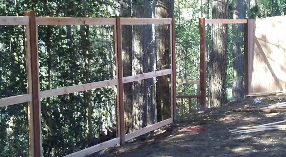 Reliable lawn mowing service in Redmond, WA - Landcos Construction Services