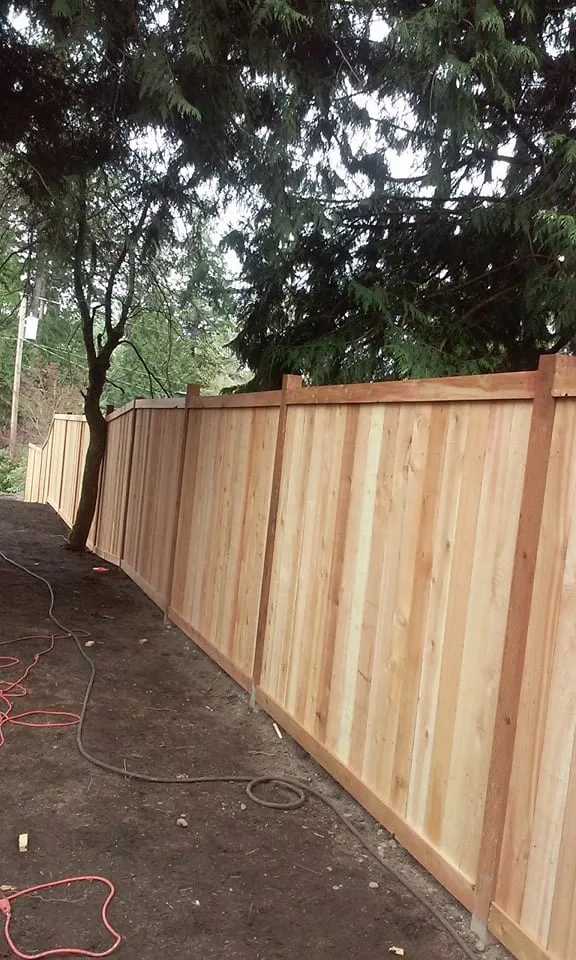 Trusted landscape design in Redmond, WA - Landcos Construction Services