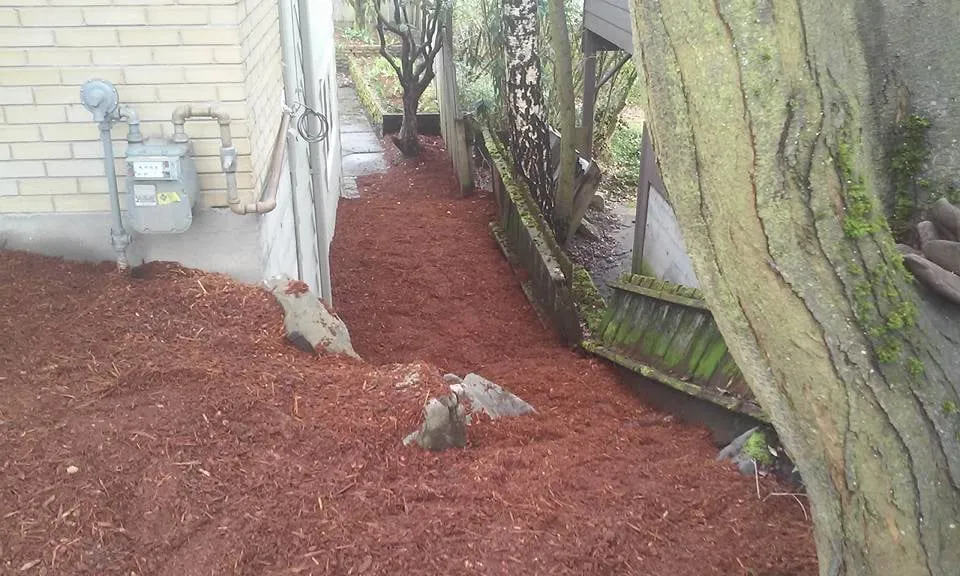 Affordable landscape installation in Redmond, WA - Landcos Construction Services