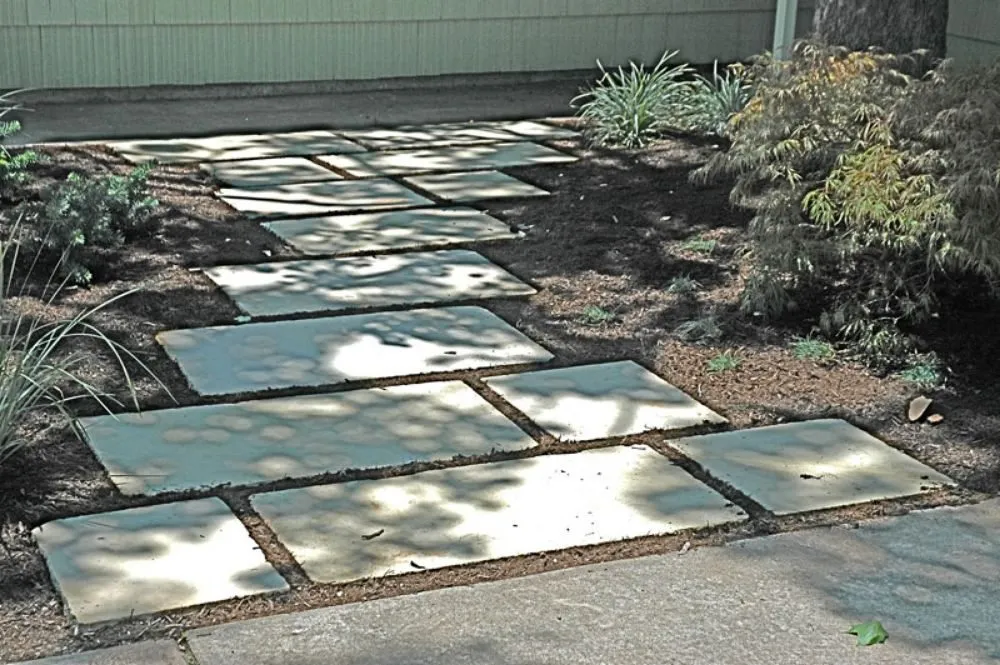 Reliable lawn care service near you across Dripping Springs, TX - Landcraft