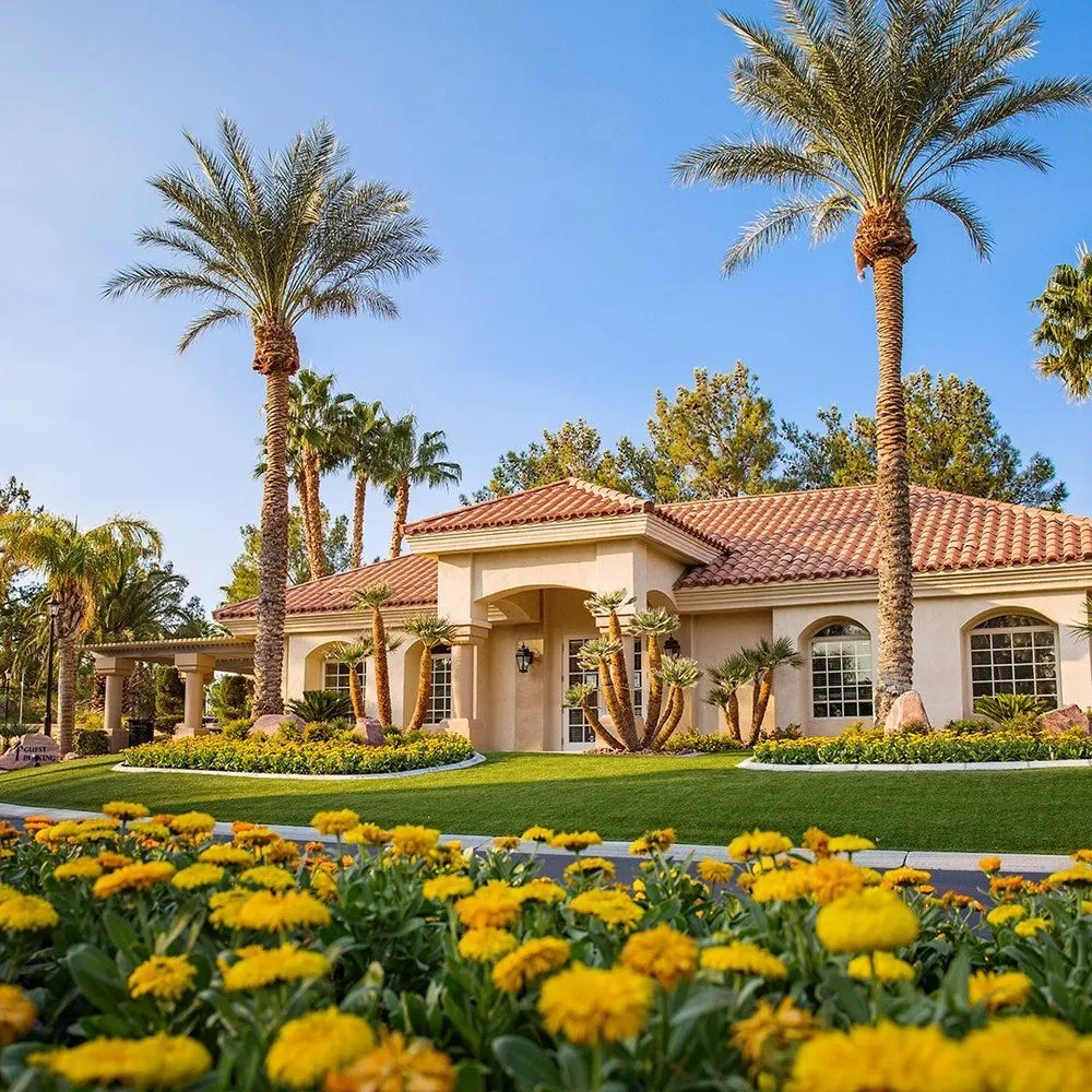 Custom yard cleanup service experts serving Las Vegas, NV - Landcraft