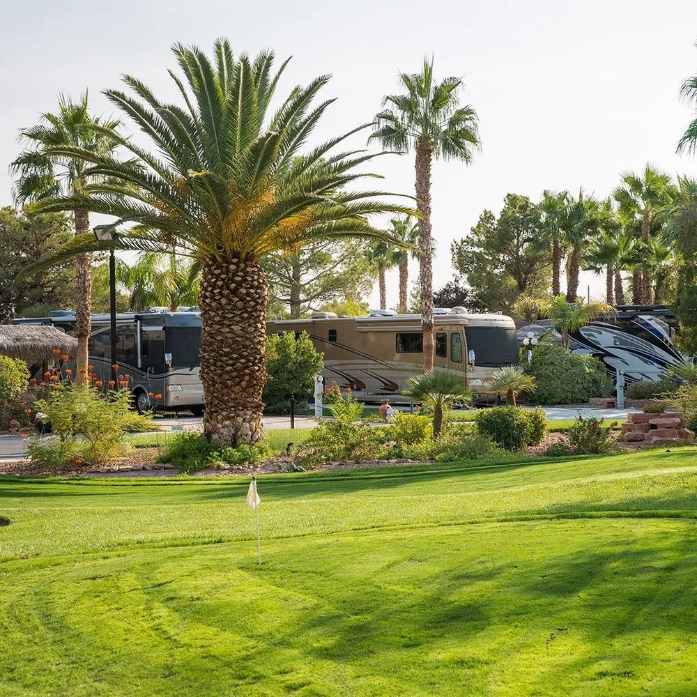 Local yard maintenance in Las Vegas, NV by Landcraft