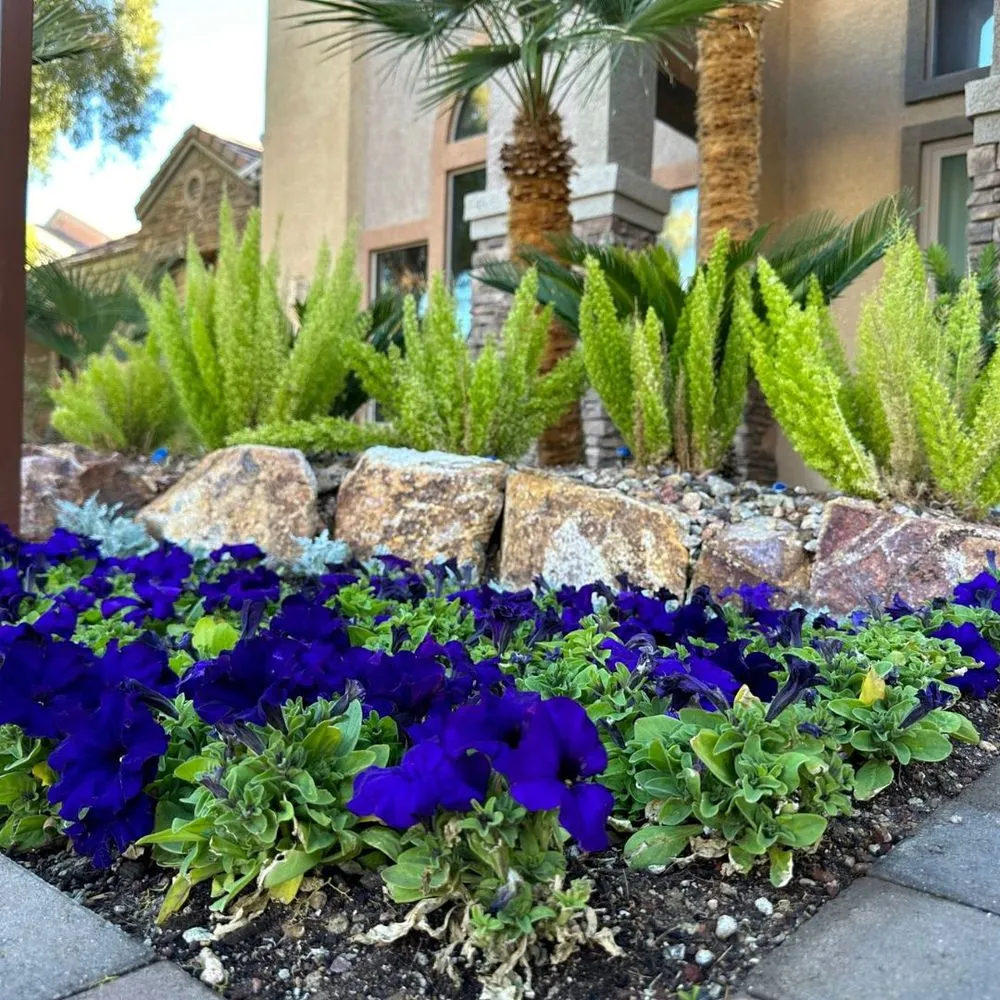 Reliable garden landscaping in Las Vegas, NV by Landcraft
