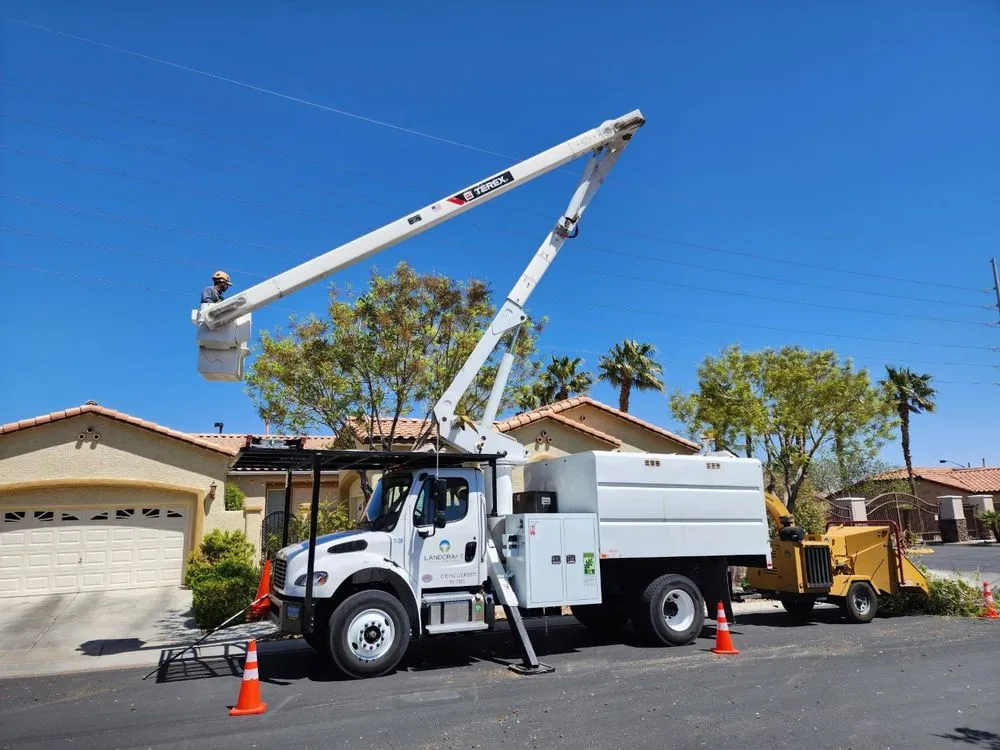 Trusted yard maintenance in Las Vegas, NV - Landcraft