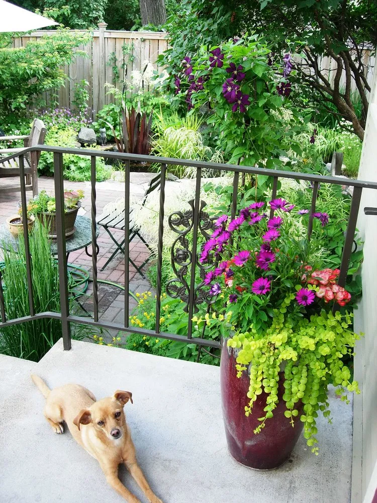 Professional landscape design in Minneapolis, MN - LandCraft