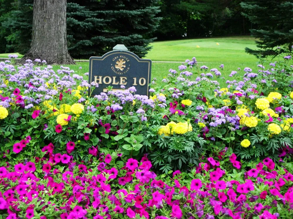 Expert landscaping services near you in Minneapolis, MN by LandCraft