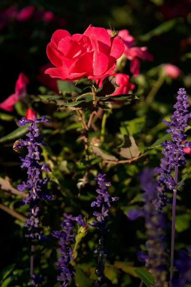 Professional landscaping services in Minneapolis, MN - LandCraft