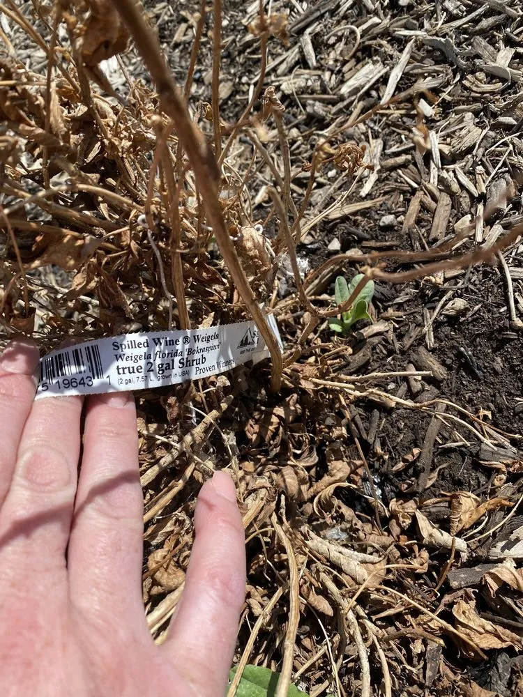 Reliable garden landscaping near you in West Jordan, UT by Landcraft Utah