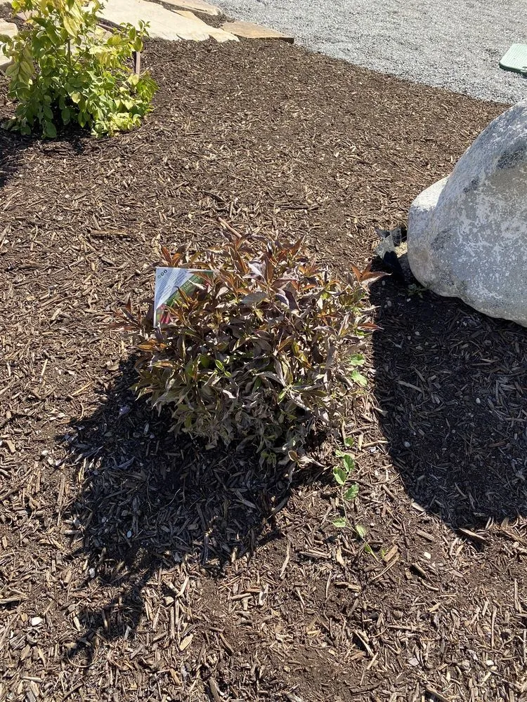 Top-rated landscape installation for residential properties across West Jordan, UT - Landcraft Utah