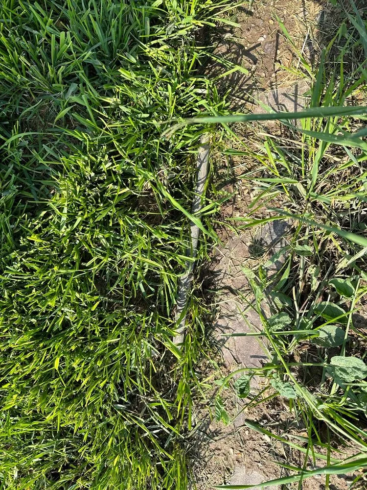 Custom outdoor landscaping with custom design in West Jordan, UT by Landcraft Utah