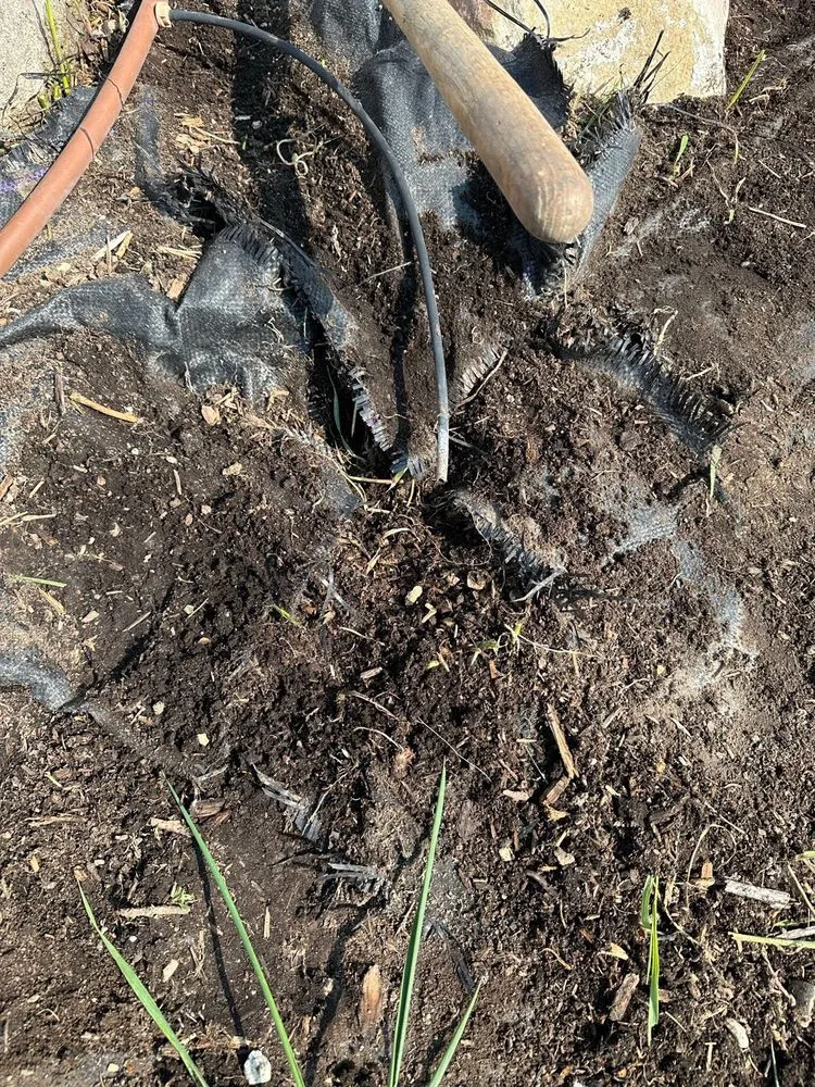 Professional landscaping services in West Jordan, UT - Landcraft Utah