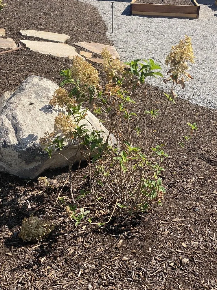 Expert lawn mowing service in West Jordan, UT - Landcraft Utah