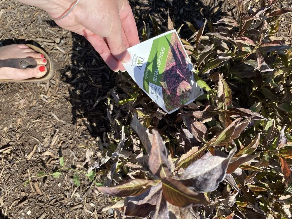 Local landscaping services in West Jordan, UT - Landcraft Utah