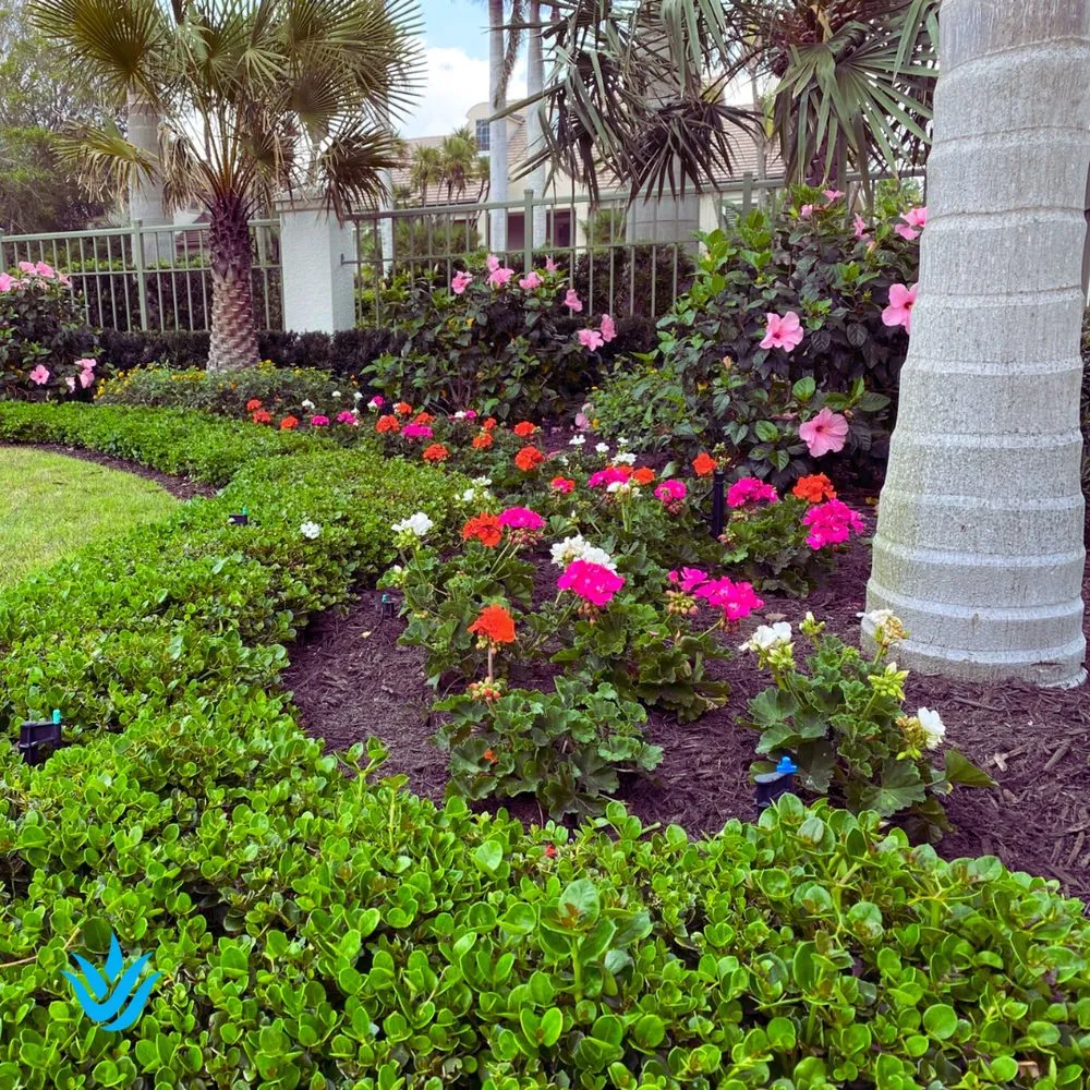 Affordable landscape design for year-round maintenance across Largo, FL - Landcrafters Florida